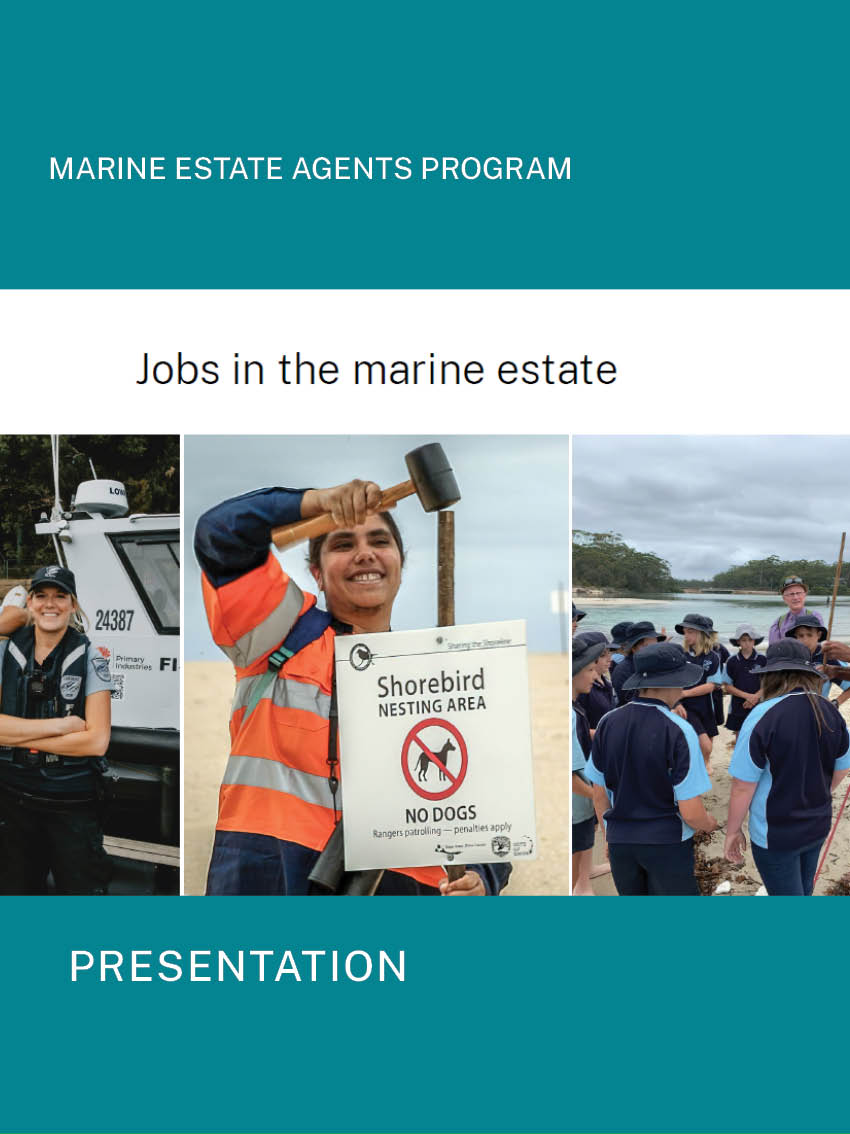 Jobs-in-marine-estate-pres-image.jpg