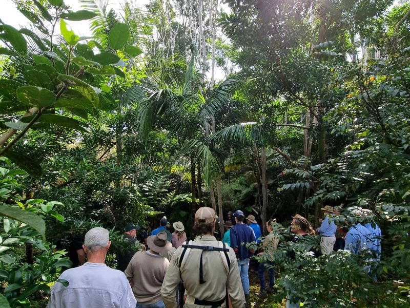 group of people looking at dense rainforest, a ranger speaks