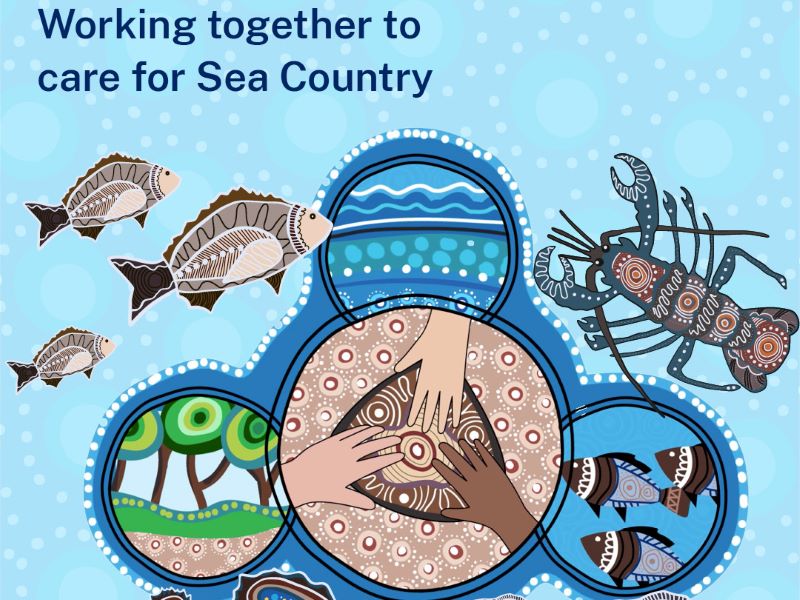 Aboriginal image with graphic showing Aboriginal art design fish lobster and hands together (indicating ‘working together’)