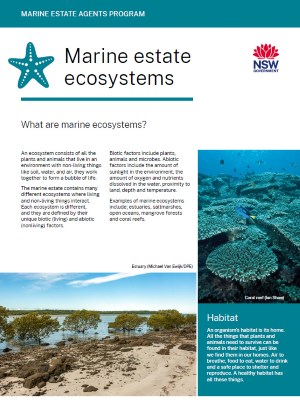 Marine-Estate-Agents-Program-Marine-Estate-Ecosystems.jpg